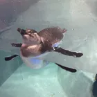 ユーザー画像