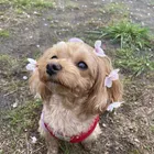 ユーザー画像