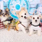 ユーザー画像