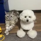 ユーザー画像
