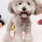 ユーザー画像