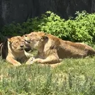 ユーザー画像