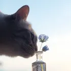 ユーザー画像