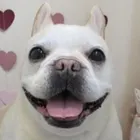 ユーザー画像