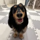 ユーザー画像