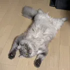 ユーザー画像