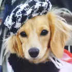 ユーザー画像