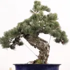 ユーザー画像