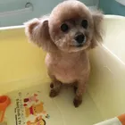 ユーザー画像