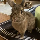 ユーザー画像