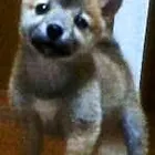ユーザー画像