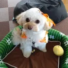 ユーザー画像