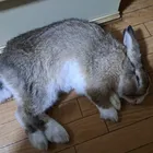 ユーザー画像