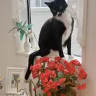 ユーザー画像