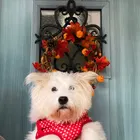 ユーザー画像