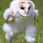 ユーザー画像