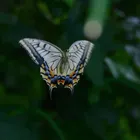 ユーザー画像