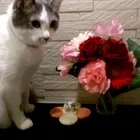 ユーザー画像