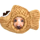 ユーザー画像