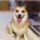 ユーザー画像
