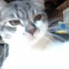 ユーザー画像