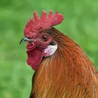 ユーザー画像