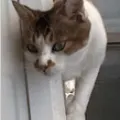 ユーザー画像