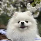 ユーザー画像