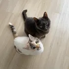 ユーザー画像