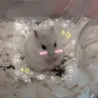 ユーザー画像