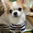 ユーザー画像