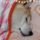 ユーザー画像