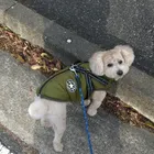 ユーザー画像