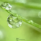ユーザー画像