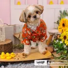 ユーザー画像