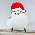 ユーザー画像