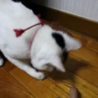 ユーザー画像