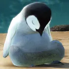 ユーザー画像
