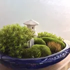 ユーザー画像