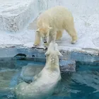 ユーザー画像