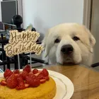 ユーザー画像