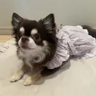 ユーザー画像