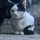 ユーザー画像