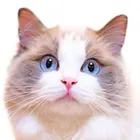 ヒロ