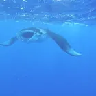 ユーザー画像