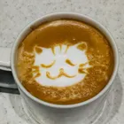 ユーザー画像