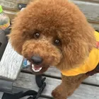 ユーザー画像