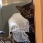 ユーザー画像