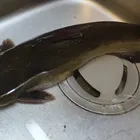 ユーザー画像