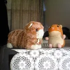 ユーザー画像